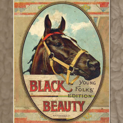 Black Beauty Young Folks' Edition