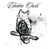 Magic Show - EP, Electric Owls