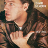About Face, DAVID GILMOUR