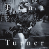 Wildest Dreams, Tina Turner