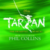 Tarzan - The Broadway Musical (Sountrack from the Musical & Cast Recording)