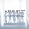 A Tribute to The Backstreet Boys, The New Boy Sound Machine