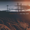 One Drop East, Salmonella Dub