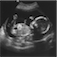 Pregnant by Falu.co.uk