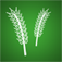 Seed Rate Calculator