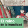 EL REINO DE LA HUMILDAD