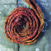 Further Down the Spiral, Nine Inch Nails