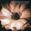The Night, Morphine