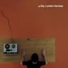 Lunatic Harness, U-Ziq