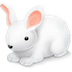 A Kid Movie Video Collection Icon