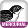 Mercurial: The Definitive Guide