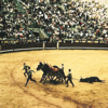 The Cyanide Circus, John Gignoux