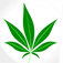 Cannabis Lite by Julian Cain