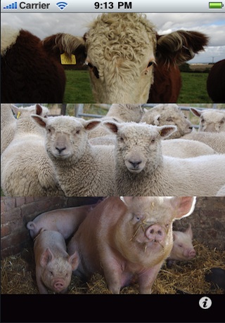 Image of MooBaaPig