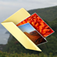 Photo Journal