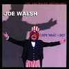 Look What I Did! - The Joe Walsh Anthology, Joe Walsh