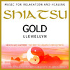 Shiatsu Gold, Llewellyn