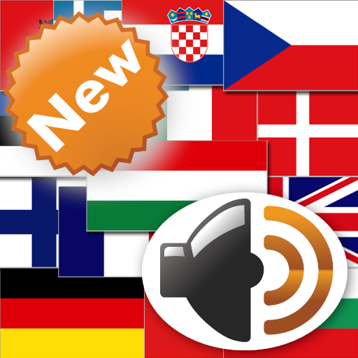 Free Translator with Voice - More than a dictionary