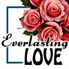 Everlasting Love