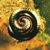 Closer to God, Nine Inch Nails