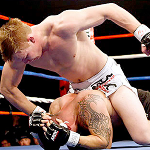 mma wallpaper. MMA Wallpapers 2.0; Category: Sports; Released: 2010-06-18; Size: 503.69K