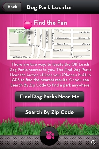 Off Leash