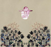Smokey Rolls Down Thunder Canyon, Devendra Banhart