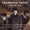 Dance Vault Remixes, Thompson Twins