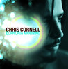 Euphoria Morning, Chris Cornell