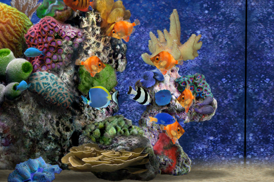MyReef 3D Aquarium Lite Screenshot