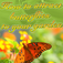How To Attract Butterflies To Your Garden