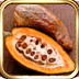 iChocolate For iPad
