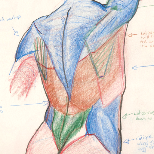 Improve Your Figure Drawing
