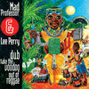 Dub Take the Voodoo Out of Reggae, Mad Professor & Lee Perry