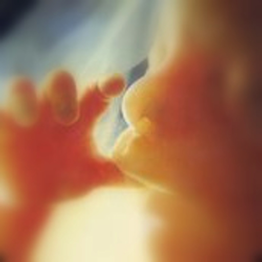 Pregnancy Dates (gestational age)