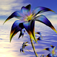 Wallpapers 3d v2 by Neofitidis Stefanos