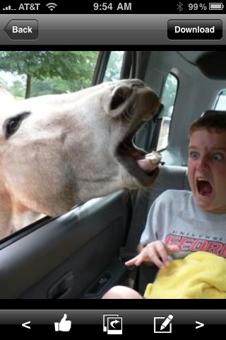 Funny Pics free app s=creenshot 1