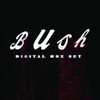 Bush: Digital Box Set, Bush