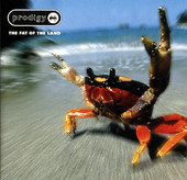 Firestarter - The Prodigy