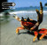 Fat of the Land by The Prodigy