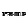 Get the Picture? - Single, Smash Mouth