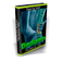 Dealing With Your Back Pain the Natural Way