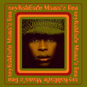 Mama's Gun, Erykah Badu