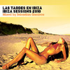 Las Tardes En Ibiza - Ibiza Sessions 2010 (Mixed by Sebastian Gamboa), Sebastian Gamboa