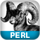 Icon Perl Cookbook, Second Edition