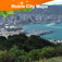 Icon Wellington