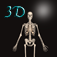 Icon 3D Skeleton
