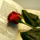 Icon Love Poem Generator - for original and last minute Valentine poems