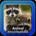 Animal En