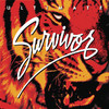 Ultimate Survivor, Survivor